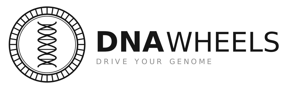 Banden wisselen bij DNA Wheels Amersfoort