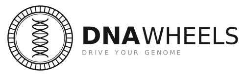 Banden wisselen bij DNA Wheels Amersfoort
